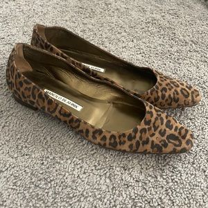 Manolo Blahnik Leopard Flats